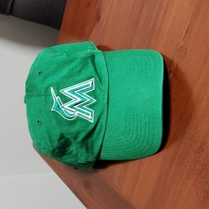 Miami Dolphins Hat